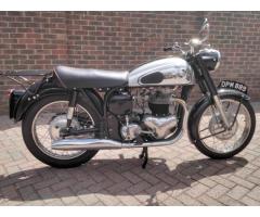 norton dominator 99
