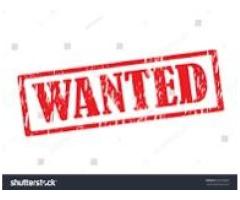 NORTON or any other big British motorcycle wanted in any condition