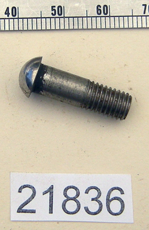 Handlebar lever pivot pin and nut : Dome head screw - Stainless steel