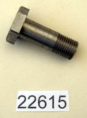 Side stand pivot bolt - Stainless steel