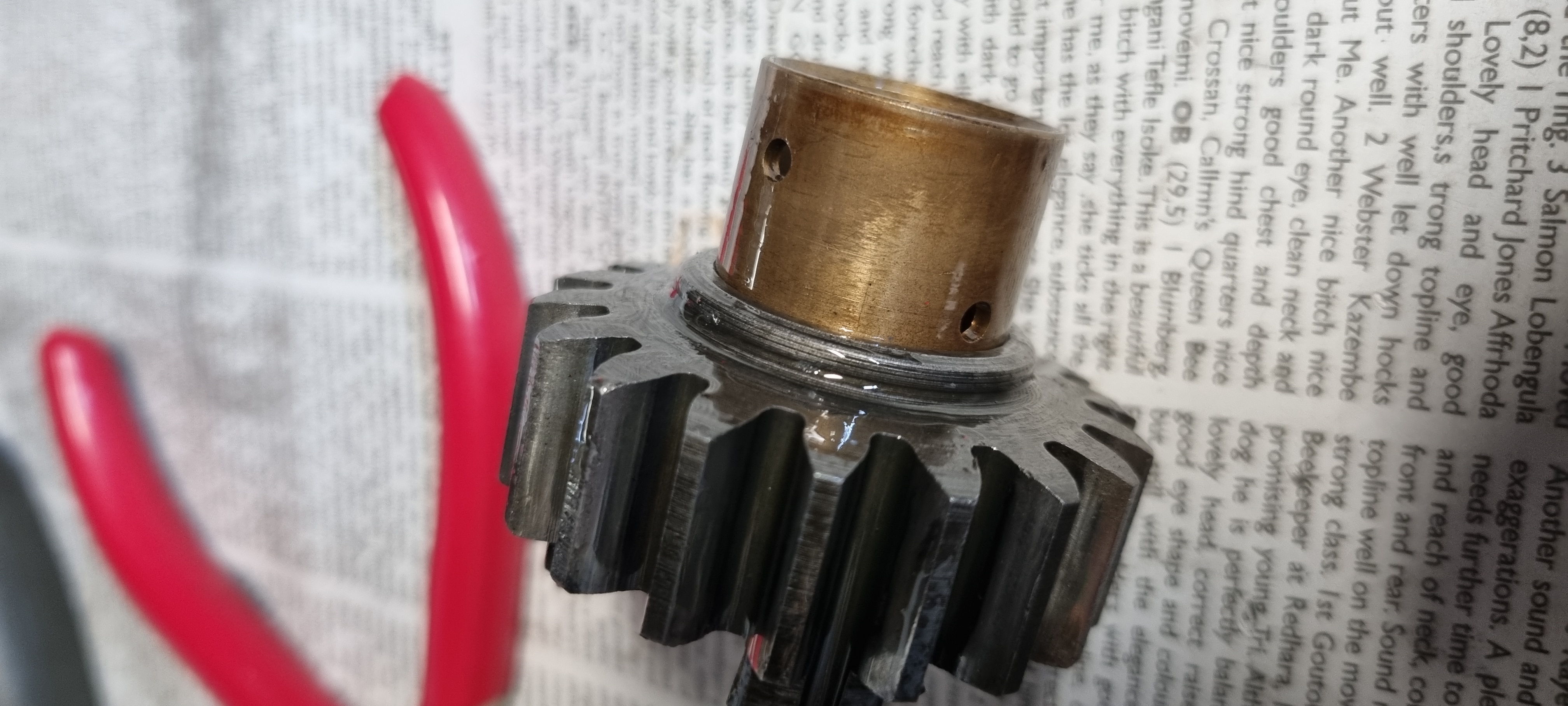 Gear and Bush