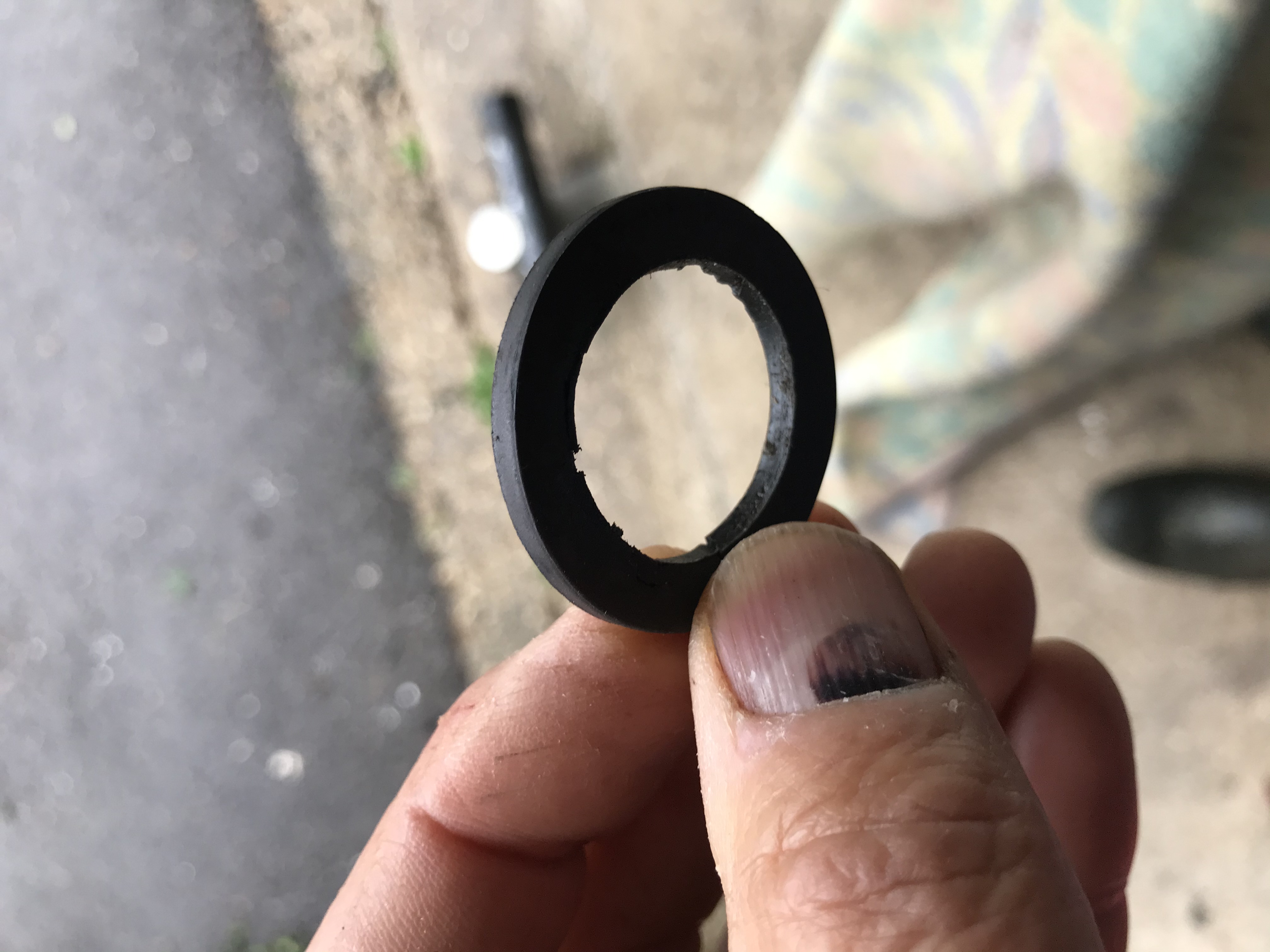 Seal