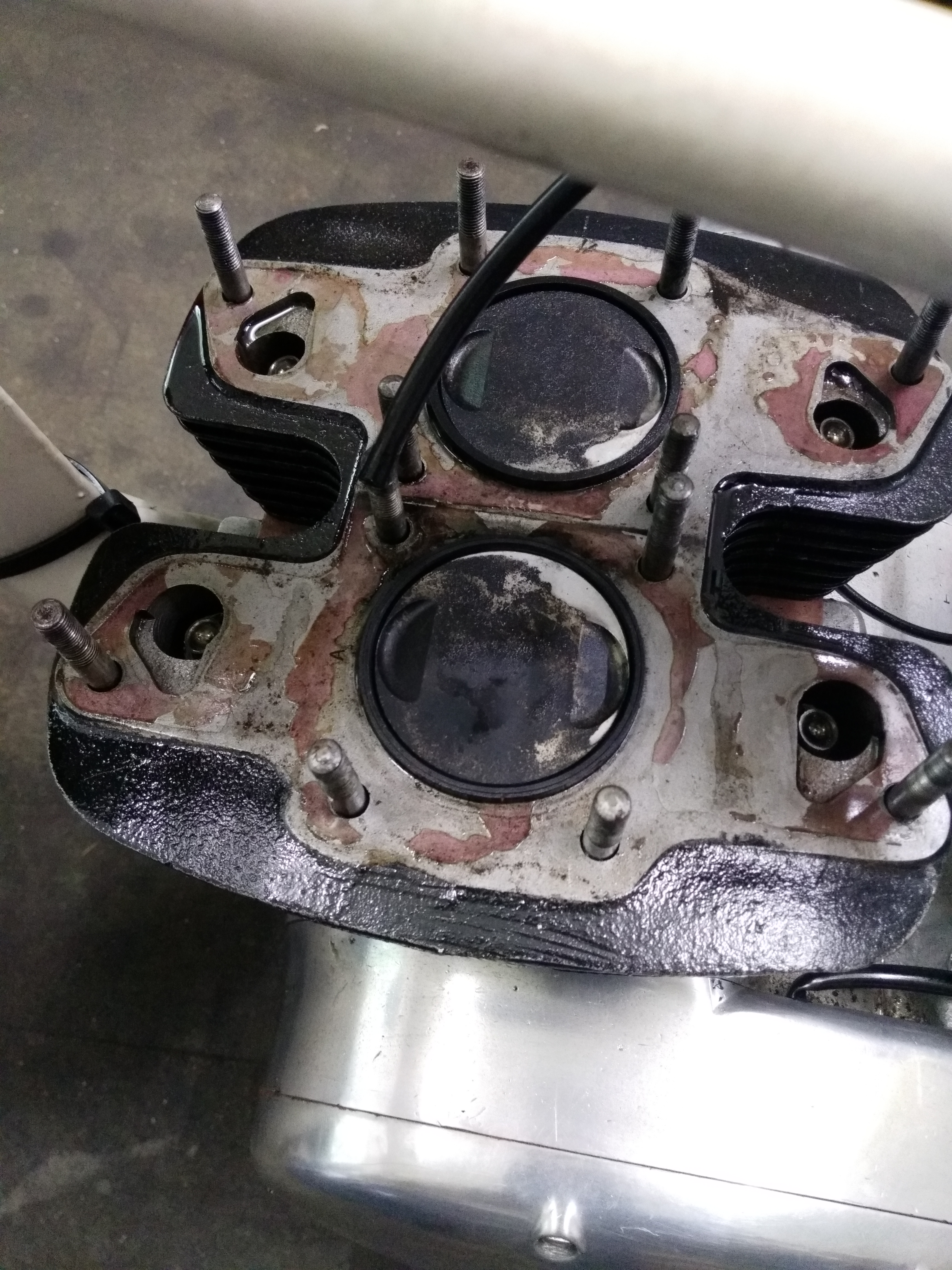 oily head gasket