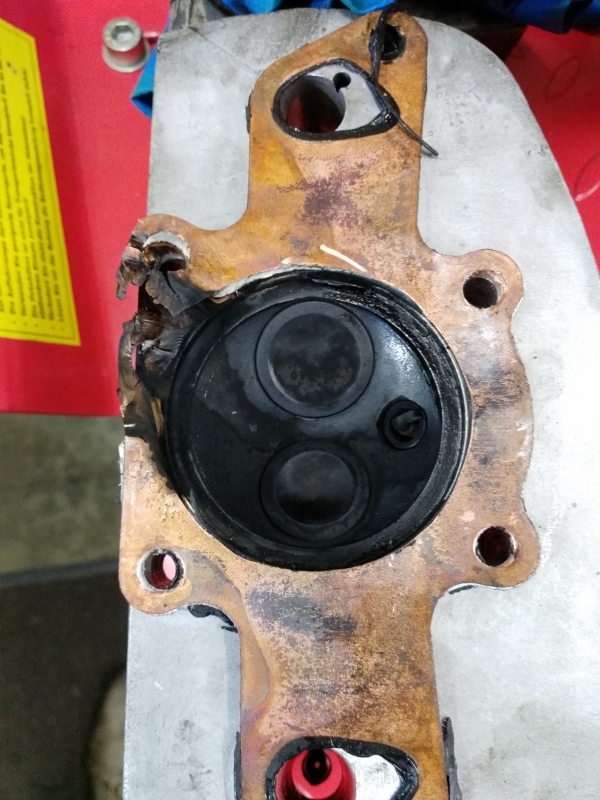 Blown head gasket