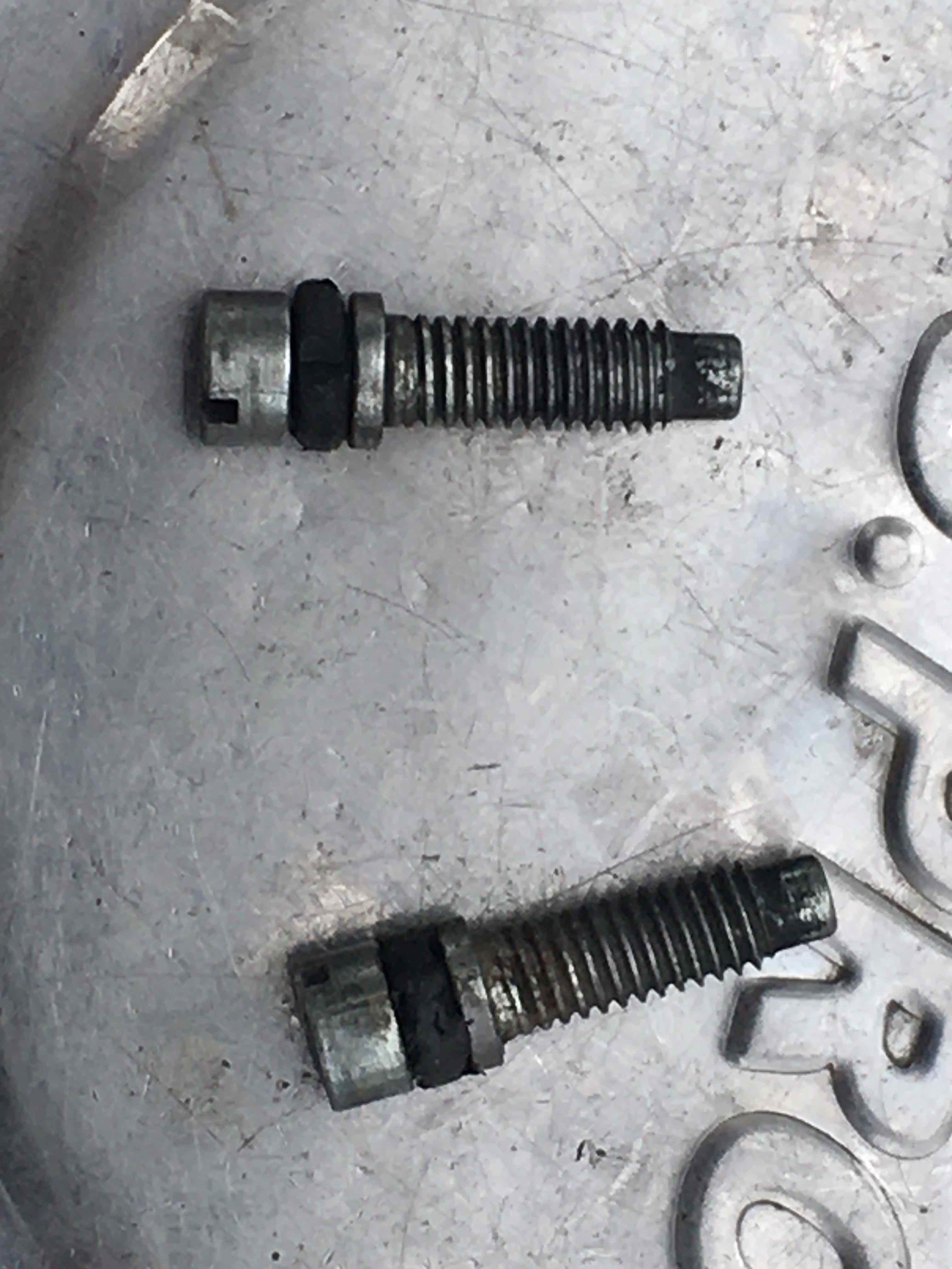 Throttle stop screws with perished O-rings