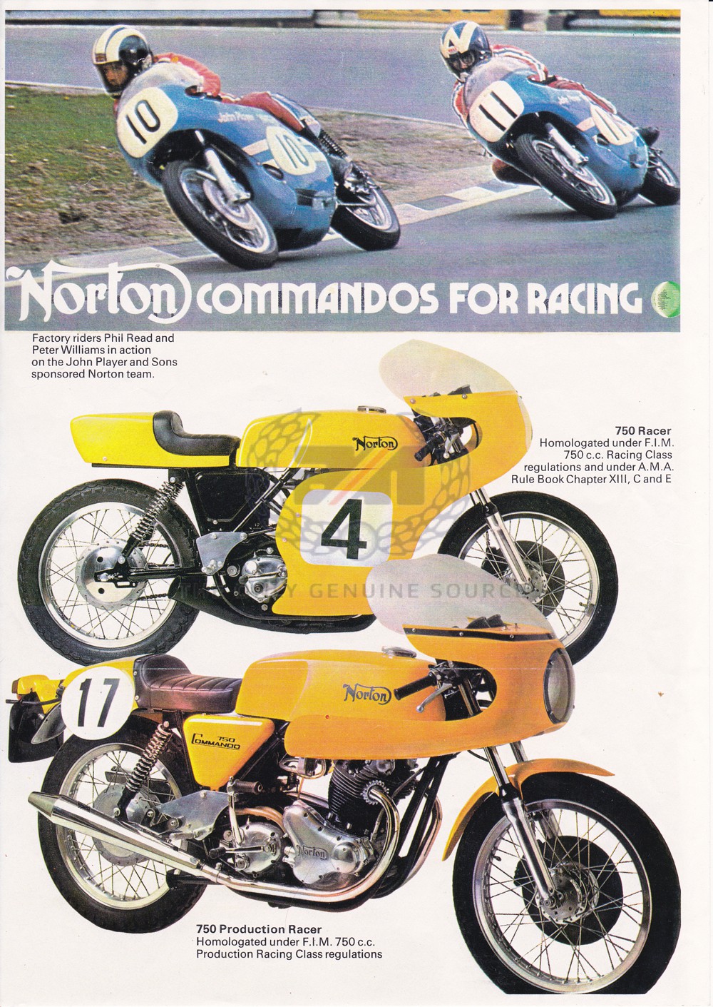 Norton racers