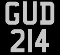 ES2 - GUD 214